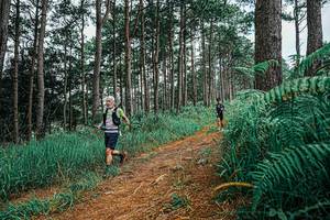 BIB: 
                            <button type="button" onclick="openModal(25690706)" class="btn btn-primary btn-sm float-right btn-popup" data-toggle="modal" data-target=".modal-high-quality">
                        <i class="fas fa-shopping-cart"></i> Add to Cart
                    </button>
                                            <button type="button" onclick="isThisMe(25690706, true)" class="btn btn-success btn-sm float-right btn-popup btn-isme hidden" data-toggle="tooltip" data-placement="bottom" title="นี่คือรูปของคุณใช่ไหม คลิกที่นี่เพื่อเอาเข้าอัลบั้ม">
                        <i class="fas fa-plus"></i> Add to album
                    </button>
                    <button type="button" onclick="isThisMe(25690706, false)" class="btn btn-warning btn-sm float-right btn-popup btn-isnotme hidden">
                        <i class="fas fa-ban"></i> Remove from album
                    </button>